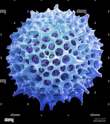  Radiolarian! Un Animal Microscopique à la Beauté Étourdissante